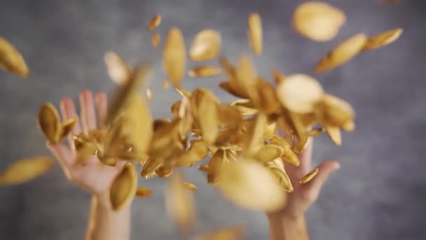 Kavrulmuş Balkabağı Çekirdekleri Ağır Çekimde Fırlatılır — Stok video