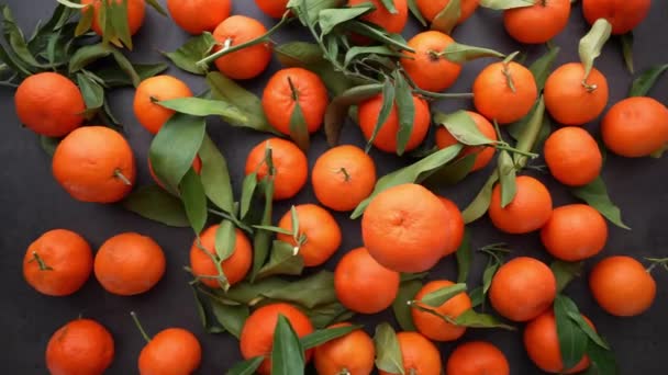 Pile Tasty Orange Clementines Fall Slow Motion — Stock Video