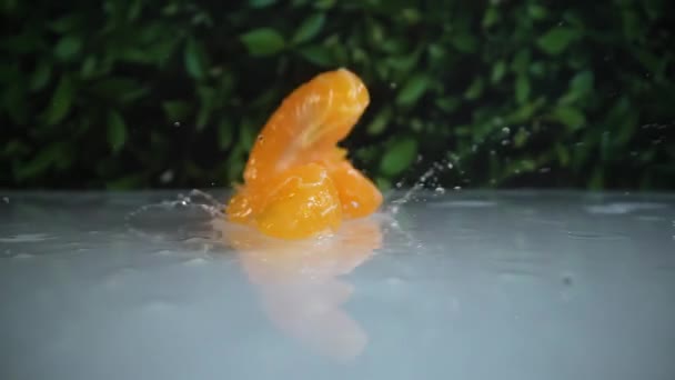Des Tranches Mandarines Tombent Haut Ralenti Sur Table Blanche Humide — Video