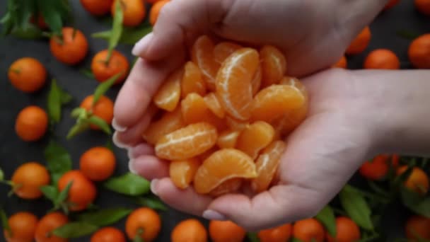 Skivor Orange Klementiner Släpps Från Handflatorna Till Vit Platta Nedanför — Stockvideo