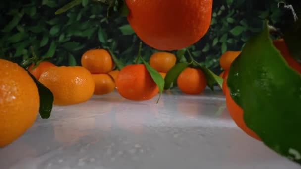 Sabrosas Clementinas Color Naranja Caen Cámara Lenta Sobre Mesa — Vídeo de stock