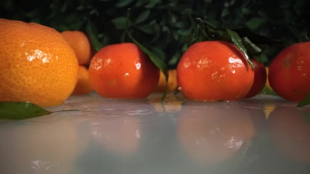 Smakliga Bitar Klementiner Faller Slow Motion Stänk Vatten — Stockvideo