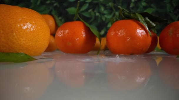 Skivor Klementiner Faller Super Slow Motion Det Våta Bordet Orsakar — Stockvideo