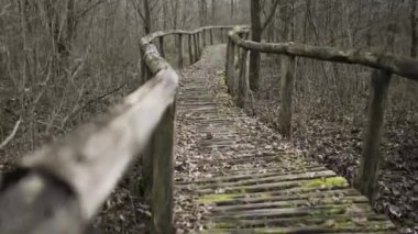  Ormanda kışın eski ahşap patika