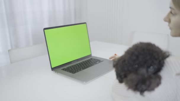 一位女士正在使用一台带有平板显示器的笔记本电脑 将其用作办公环境中的个人电脑 他手里拿着一只小狗 图库视频