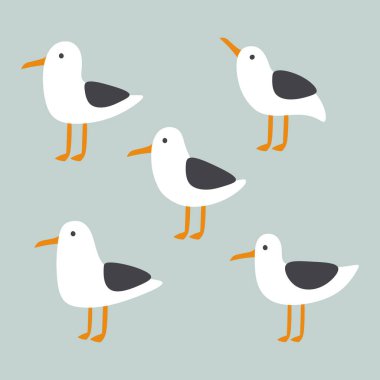 Martılar ve martıların kusursuz deseni, vektör illüstrasyonu