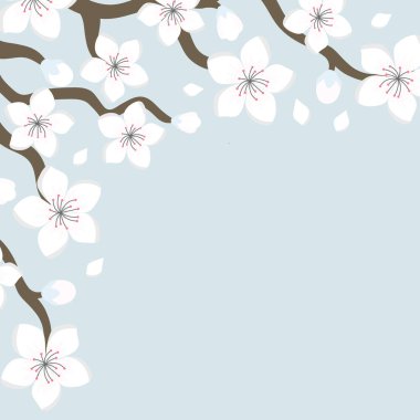 Sakura Kiraz Çiçeği Japon Teması Özgeçmişi, vektör çizimi, davetiye tasarımı, kumaş, ambalaj, kartpostal, tebrik kartları