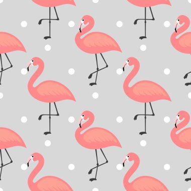 Flamingo deseni. Kusursuz vektör illüstrasyonu.