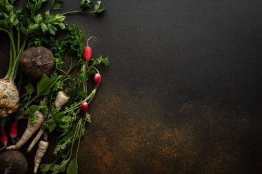 Maydanoz kökleri ve üst kısımları, siyah ve kırmızı turplar yakın plan kahverengi arka plan, üst görüntü, sağlıklı sonbahar kökleri, kopyalama alanı