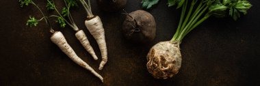 Maydanoz ve üst ve siyah turplu kökler kahverengi arka plan, üst manzara, sağlıklı sonbahar kökleri bayrağı, kopyalama alanı