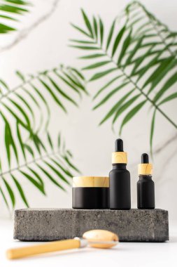 Kozmetik ürünleri için beton siyah podyum. Tropikal yapraklar arasında, arka planda mermer beyaz bir duvar, pipetli bir şişe, krema kavanozu ve yüz için masaj rulosu.