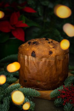 Noel çöreği yeşil ladin dalları arasında şenlik masasında, Poinsettia çiçeği bulanık ışıklar, mutlu Noeller ve mutlu yeni yıllar