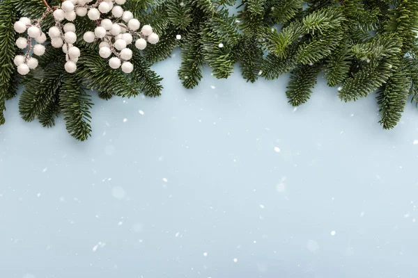 Gałęzie Jodłowe Dekoracyjne Białe Jagody Łabędzie Niebieskim Tle Śniegu Wesołych — Zdjęcie stockowe