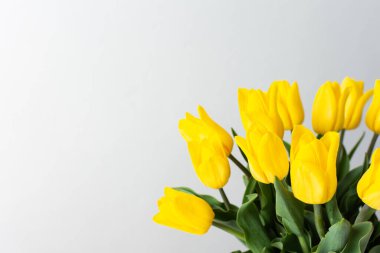 Güzel bahar laleleri, doğum günü ya da tatil için şenlikli bir buket.