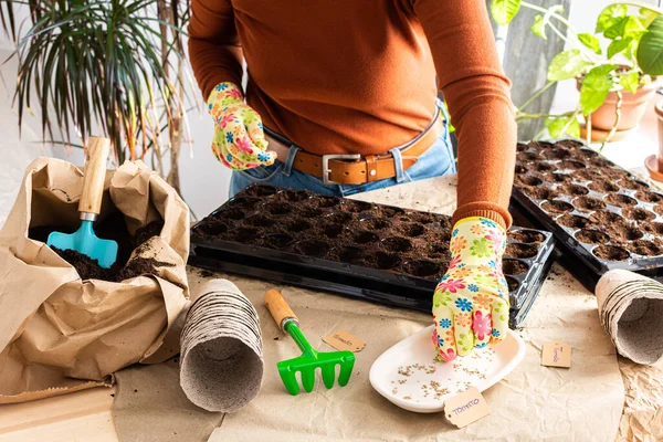 stock image The process of planting tomato seeds in plastic forms and peat eco friendly forms, a bag of earth and trowel and rakes, preparation for sowing work in the garden, a woman is planting seedlings at home