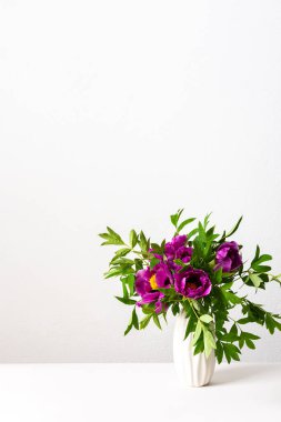 Peeonia, beyaz bir vazoda, beyaz bir duvara karşı beyaz bir vazo içinde, evin bir parçası, çiçekli ev dekorasyonu Japon Ağacı Şakayığı, sıcacık bahar arka planı