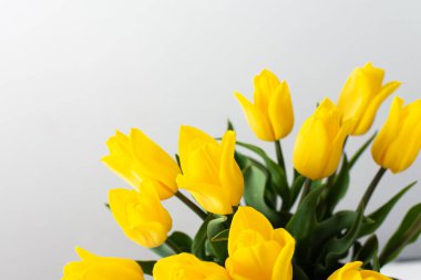 Güzel bahar laleleri, doğum günü ya da tatil için şenlikli bir buket.