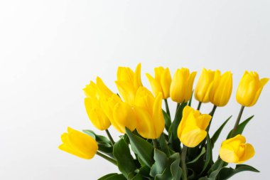 Güzel bahar laleleri, doğum günü ya da tatil için şenlikli bir buket.