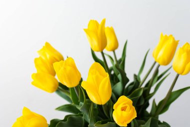 Güzel bahar laleleri, doğum günü ya da tatil için şenlikli bir buket.