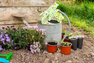 Çiçeklerle süslenmiş bahar bahçesi, evin yakınındaki toprağa çiçek ekme, bahçe işleri ve hobi.