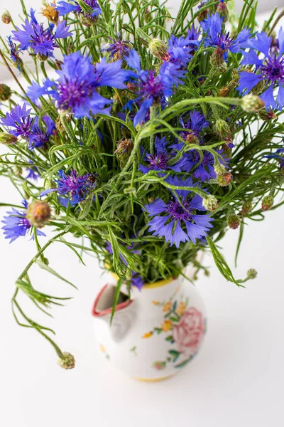 Krásné Letní Kentaurea Triumfettii Květiny Váze Součást Domácího Interiéru — Stock fotografie