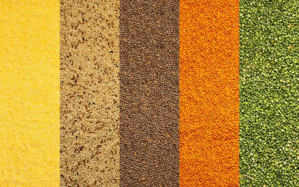 stock image Various grain cereals banner, top view, corn grits and rice, brown and orange lentils, green peas