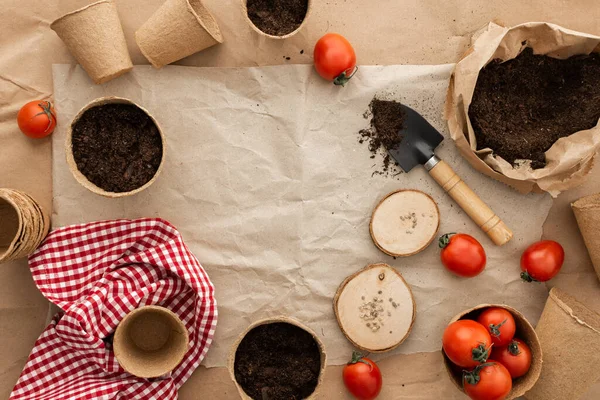 묘목을 토마토 씨앗을 친화적 정원을 가꾸는 그리고 토마토 원예와 준비하는 — 스톡 사진