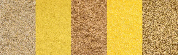 Различные Зерновые Баннеры Вид Сверху Ячменная Пшеничная Крупа Кукурузная Крупа — стоковое фото