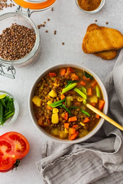 Almuerzos Vegetarianos Saludables Sopa Lentejas Marrones Con Tomates Zanahorias Cebollas Imagen de stock