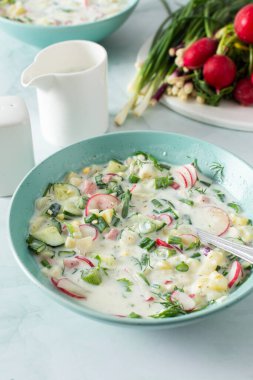 Soğuk yaz çorbası Okroshka, sebze ve sosisli çorba, yumurta ve taze otlar ve yoğurt, geleneksel Rus çorbası.