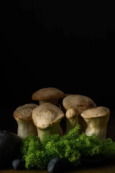 Pleurotus Eryngii Cogumelos Close Fundo Marrom Deliciosos Cogumelos Saudáveis Com — Fotografia de Stock