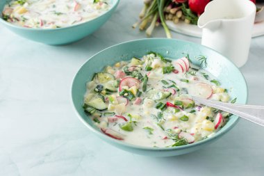 Soğuk yaz çorbası Okroshka, sebze ve sosisli çorba, yumurta ve taze otlar ve yoğurt, geleneksel Rus çorbası.