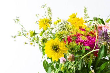 Renkli Zinnia buketi, soğan ve nane filizi, Rudbeckia Goldquelle ve kırmızı yonca, Ranunculus ve Matricaria, çiçeklerle süslenmiş ev dekorasyonu.