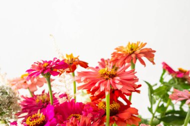 Renkli Zinnia buketi, soğan ve nane filizi, duvarın yanındaki masada bir buket çiçek, çiçeklerle süslenmiş ev dekorasyonu.