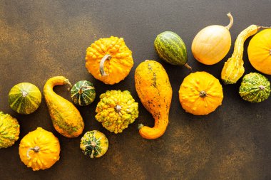 Balkabaklarıyla sonbahar arkaplanı, yazdan sonbahara geçiş, doğal mevsimlerin değişimi, Şükran Günü, fotokopi alanı, üst görünüm