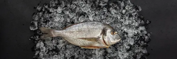 新鲜海鱼多拉多在冷冰上的黑色背景横幅上 食物保鲜 — 图库照片