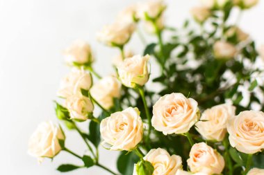 Yakından bir buket narin krema gülleri, çiçeklerle süslenmiş ev dekorasyonu, doğum günü ya da düğün için bir buket gül.