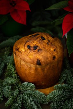 Noel pastası yeşil köknar dalları arasında bayram masasında, Poinsettia çiçeği, Mutlu Noeller ve mutlu yıllar