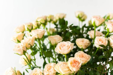 Yakından bir buket narin krema gülleri, çiçeklerle süslenmiş ev dekorasyonu, doğum günü ya da düğün için bir buket gül.