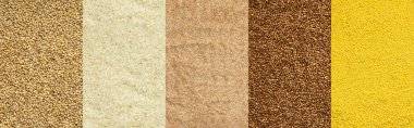 Various grain cereals banner, top view, pearl barley and white rice, wheat grits and brown buckwheat, millet