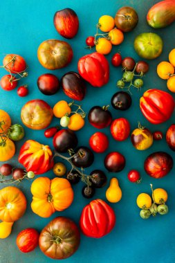 Zümrüt yeşili arka planda çok renkli, olgun domatesler, farklı domatesler, bahçeden gelen yaz hasadı, üst manzara.