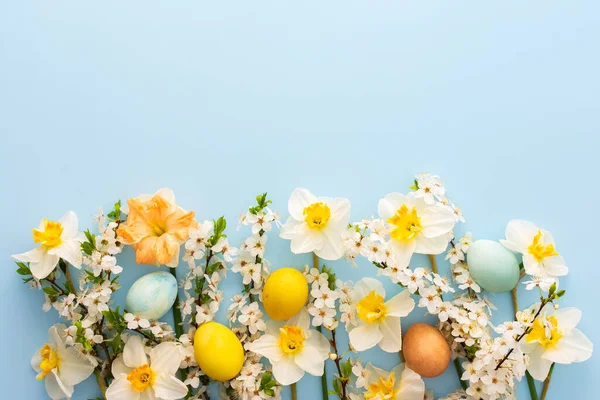 Fondo Festivo Con Flores Primavera Huevos Pascua Narcisos Blancos Ramas Fotos de stock libres de derechos