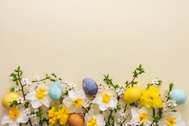 Bahar çiçekleri, Paskalya yumurtaları, beyaz nergisler ve sarı pastel arka planda kiraz çiçekleri olan şenlikli bir arka plan.