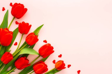 Pembe arka planda taze kırmızı laleler ve kalpler, bahar ve tatil kavramı veya Sevgililer Günü, üst manzara, kopyalama alanı