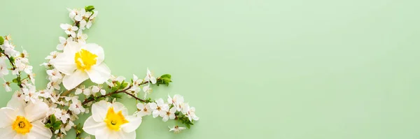 Bahar çiçekleriyle süslü bayrak, beyaz nergisler ve açık yeşil pastel arka planda çiçek açan kiraz dalları