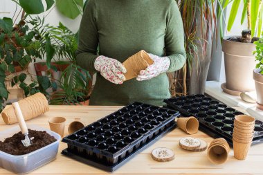 Bahçede bahar çalışmalarına hazırlanan, evdeki tohumların üzerine domates tohumu eken kadın, turba ekili ahşap masa ve tohumlar için plastik kaplar, domates tohumları.