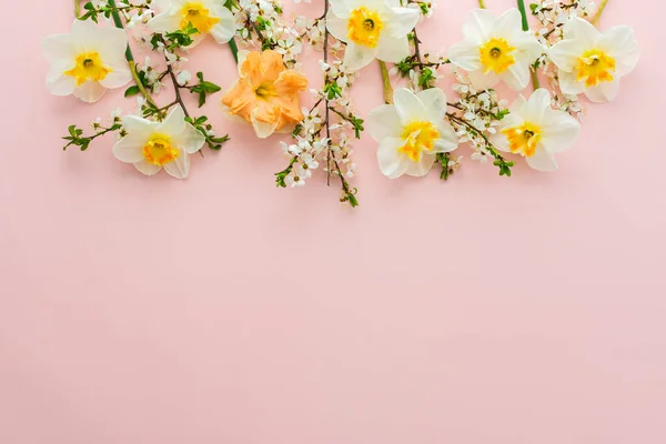 Festive background with spring flowers, white daffodils and flowering cherry branches on a light pink pastel background