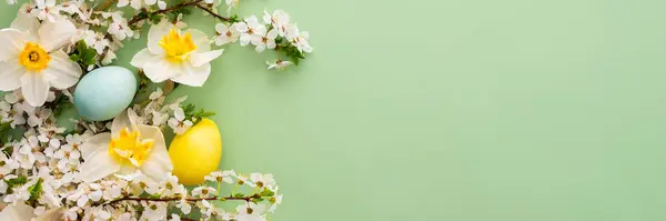 Świąteczny Sztandar Wiosennymi Kwiatami Pisankami Białymi Żonkilami Gałązkami Wiśni Zielonym Obrazek Stockowy
