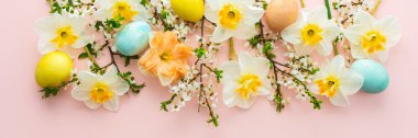 Bahar çiçekleri, Paskalya yumurtaları, beyaz nergisler ve pembe pastel arka planda kiraz çiçekli dallarla süslü bayrak.