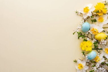 Bahar çiçekleri, Paskalya yumurtaları, beyaz nergisler ve sarı pastel arka planda kiraz çiçekleri olan şenlikli bir arka plan.